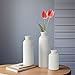 Small White Ceramic Vase Set of 3, Boho Modern White Flower Vase Room Decor, Farmhouse Decor, Vases for Your Kitchen, Bathroom, Bedroom, Living Room, Office&Shelf Centerpiece Table Decorations