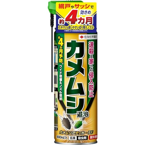 ZFw| sQ JVA^bJ[EX 480ml×24{ JV 쏜  