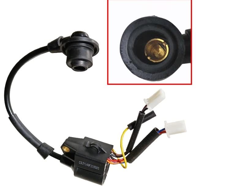 30700-Z800310 Ignition Coil Module 1600 1700 2000 2300 Watt
