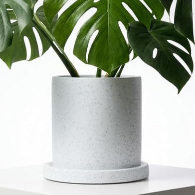 Image of Elvida Interiors Woven-Style Ceramic Plant Pot with Drainage Tray, Modern Indoor Outdoor Planter for Houseplants and Flowers, Small, Light Grey