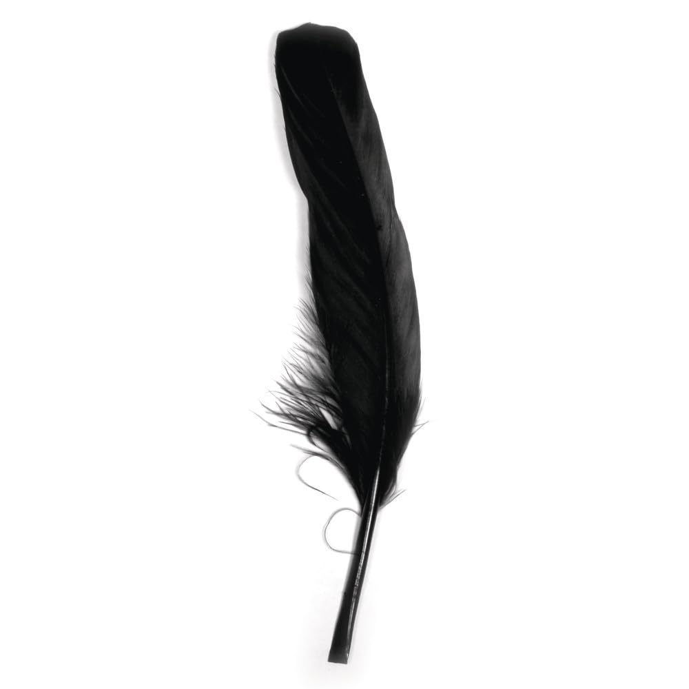 RAYHER Hobby 85461576 Goose Feather 16 – 20 cm – Pack of 8 – Black
