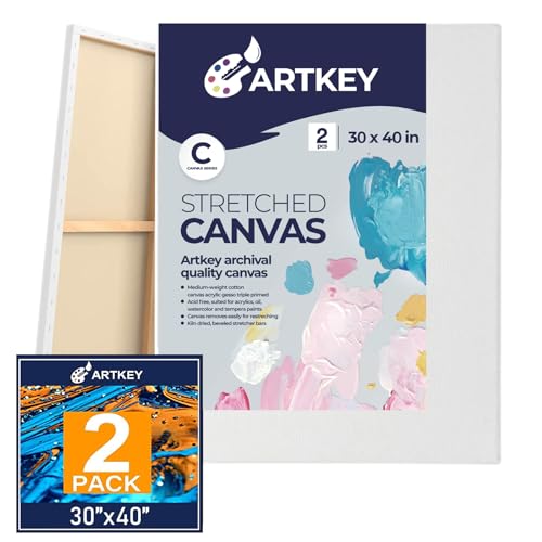 Stretched Canvases for Painting 30x40 Inch 2-Pack 12.3 oz Triple Primed Acid-Free 100% Cotton Blank Canvas Art Canvases for Oil Paint Acrylics Pouring & Wet Art Media Pour Painting