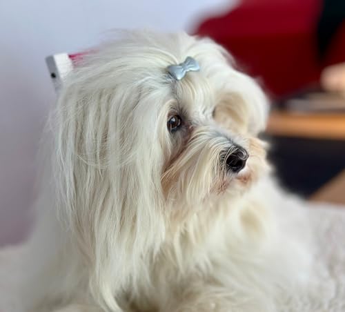 Camtiac Minihaarspange für Haustiere Haarschmuck Hundehaarspange 6 Stück Haarspangen schwarz 18