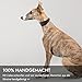 FAVPET Luxus Echtleder Windhund Halsband Breit mit QR Code Anhänger, Weiches Lederhalsband Hund Breit Whippet Italienisches Windspiel Saluki Lurcher Spanischer Galgo Greyhound Podenco (Grau, XS)