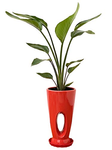 _ ϗtA { Xg`A I[KX^ 7 픫  Y_ t CeA A JXj zj Mtg ̓ ̓ hV̓ v[g 蕨  Ε  Əj w wj ItBX