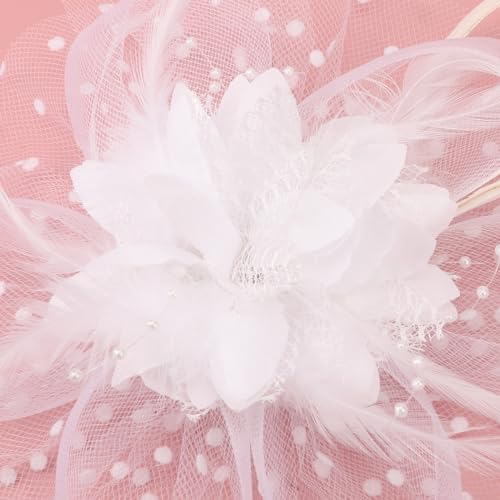 Image of DRESHOW Fascinators Hat Feather Headband Women's Fascinators Tea Party Headwear with Clip Flower Head Band for Girls & Women