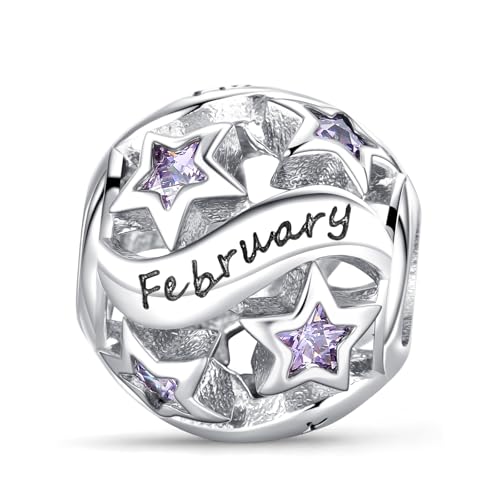 Symretie Colgante de piedra de nacimiento de febrero de plata 925 para mujeres, compatible con pulseras y collares de estilo Pandora y europeo. Adecuado para mujeres y niñas.