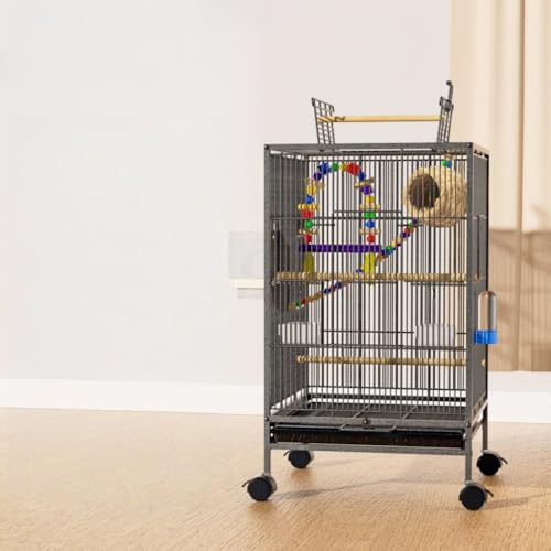 TVTKE P[W CR 傫P[W  LX^[t ړ֗ V IE o[hpX ~܂ at IJ ZLZC {^  LJ`E ^ ϋv (ubNiLj{12_MtgobO)