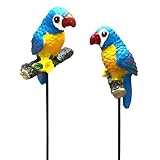 MUAMAX 2 Pcs Miniature Parrot Decorative Garden Stakes Mini Parrot Picks Figures Fairy Garden Accessories Succulent Plant Flower Pots Decor Bonsai Ornaments Micro Landscapes Decor