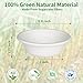 Aricsen Compostable 12 Ounce 50 Pack Disposable Small Round Paper Bowls, PFAS-Free, Eco-Friendly, Biodegradable Bagasse For Hot Soup Food Salad Dinner Party (50, 12 OZ) 2
