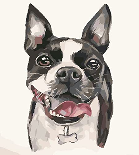 Peinture à broder au diamant chiot 5D kit strass cristal 30x40