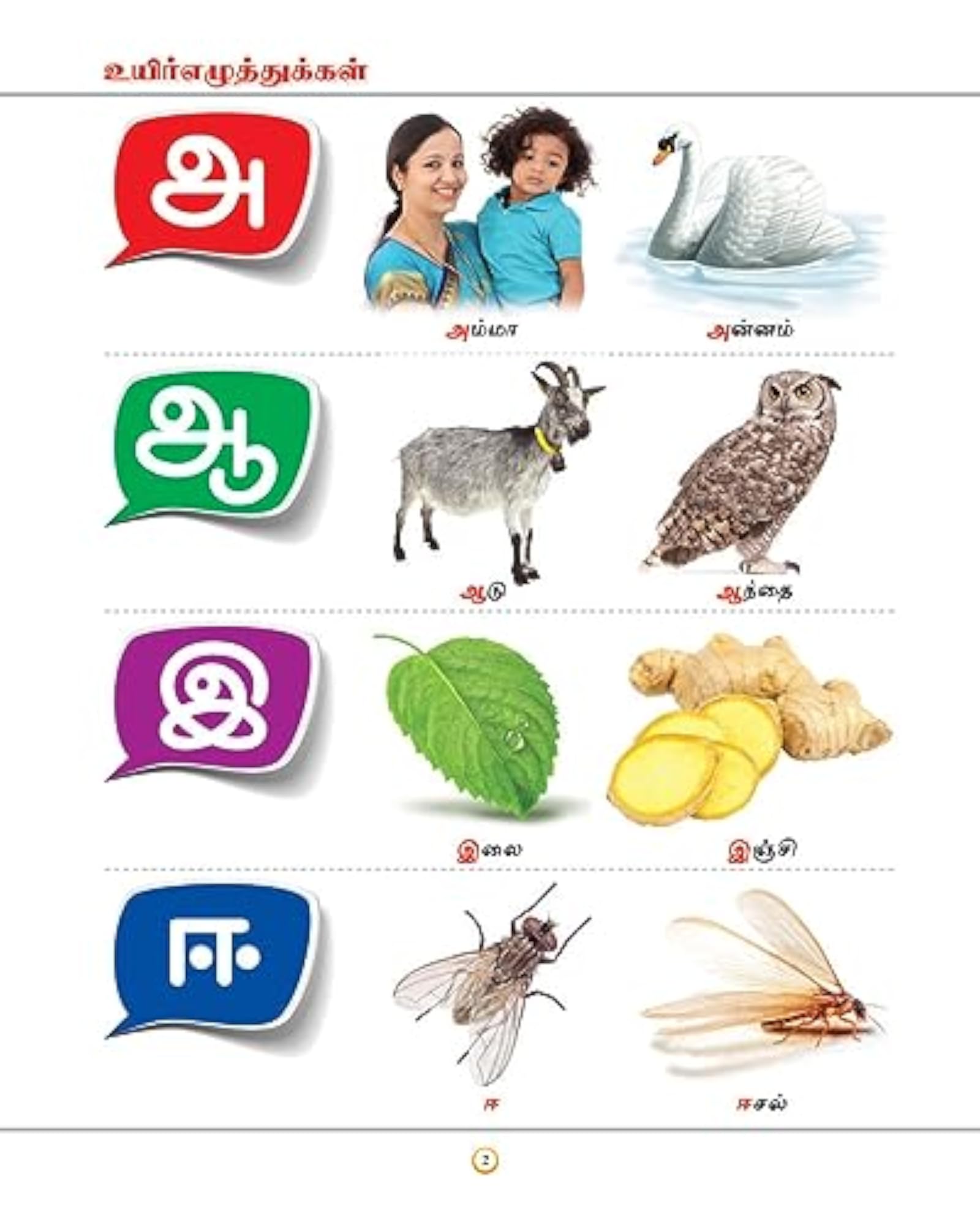 InIkao My First Board Book of Tamil