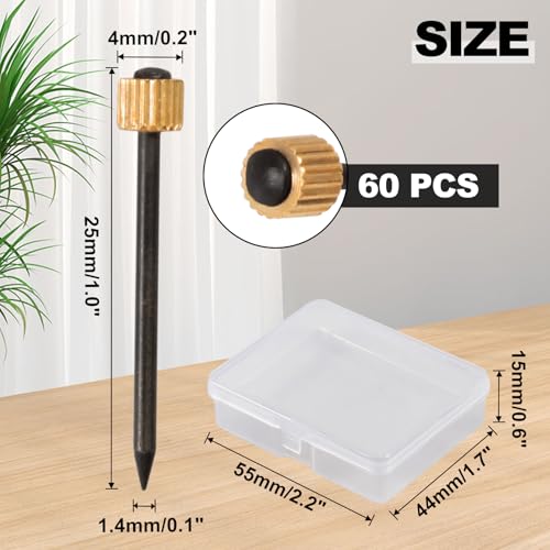 Image of SPEEDWOX 60 Pcs Picture Hangers Black Steel Nails and Brass Head Frame, Picture Hanging Nails for Hanging Picture Painting with Plastic Storage Box Holds Up to 5-30 lbs(Medium)