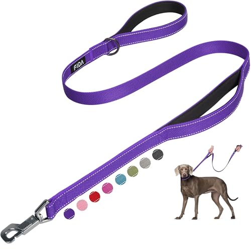 Fida 4 FT Heavy Duty Dog Leash with 2 Comfortable Padded Handles Traffic Handle & Advanced Easy Snap Hook Reflective Walking Lead for Large Medium & Small Breed Dogs Purple