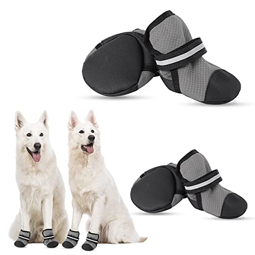 Top 10 Best Dog Boots For Heat Reviews & Buying Guide Katynel