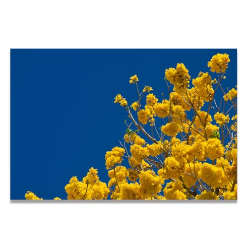 Cuadro de paisaje de montañas para renovar paredes, lienzo decorativo de 20x30cm azul y amarillo