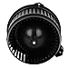 CCIYU Fit for 2018-2022 Honda Accord,2016-2021 Honda Civic AC Heater Blower Motor 700325 HVAC Compatible with Honda 2016 2017 2018 2019 2020 2021 2022 Automotive Replacement Blower Motor 79310TBAA11