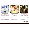 EISCO 2PK Wash Bottles for Acetone, 500ml - Labeled with Chemical Information & Safety Information (1 Color) - Wide Mouth, Self Venting, Low Density Polyethylene - Performance Plastics Labs