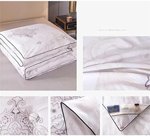 CSCDD シルク掛け布団夏冬キルトクイーンツインサイズ中国シルク寝具