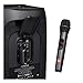 JBL Wireless Two Microphone System with Dual-Channel Receiver, Black
