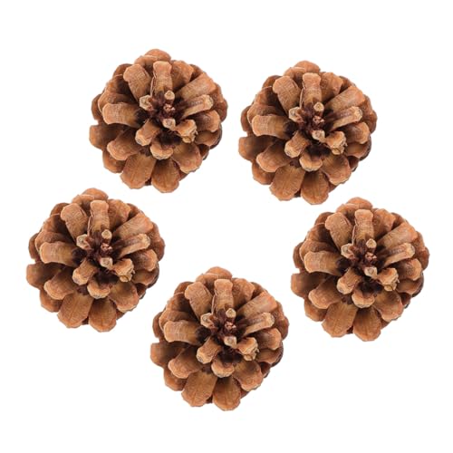 UTHCLO �V�R���ڂ�����g�p�̒��p���݂������� �݂艺�������u�o�[�h �I�J���C���R�̉a�T���V�� �����΂��P�A�Ή� �y�b�g�������A�N�Z�T