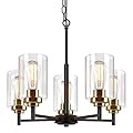 5-Light Chandelier for Dinning Room Kitchen Island Modern Farmhouse Pendant Lighting with Clear Glass Shades Industrial Black Hanging Ceiling Light Fixture for Foyer Living Room, Height Adjustable