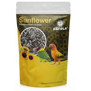 RAFOLA Natural Sunflower Seeds For Birds – 1Kg, Rich In Vitamins & Minerals, All Life Stages