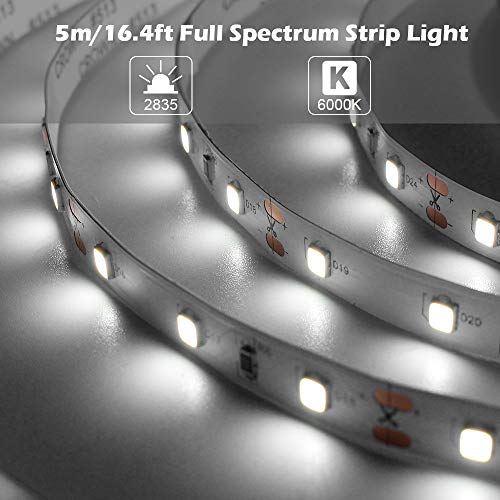 Tira de LED LightingWill 5M CRI97 Luz Día 5000K-6000K miniatura 3