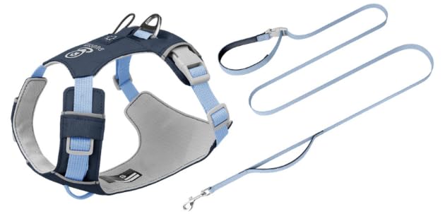No Pull Dog Harness and Leash Set, Reflective Dog Harness, Navy Blue XS
