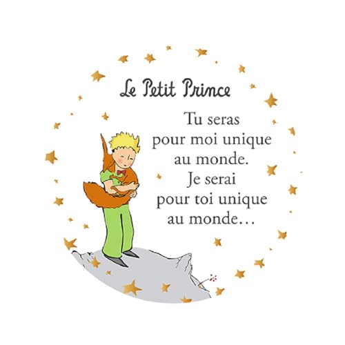 Magnet Petit Prince - Motif Petit Prince Debout serrant affectueusement Son Renard - Dimension 5,5CM