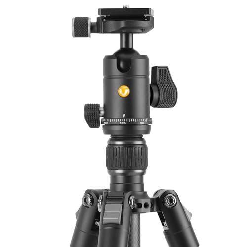 Image of Vanguard Vesta GO 264CB Carbon Fiber Travel Tripod with VEO BH-60 Ball Head
