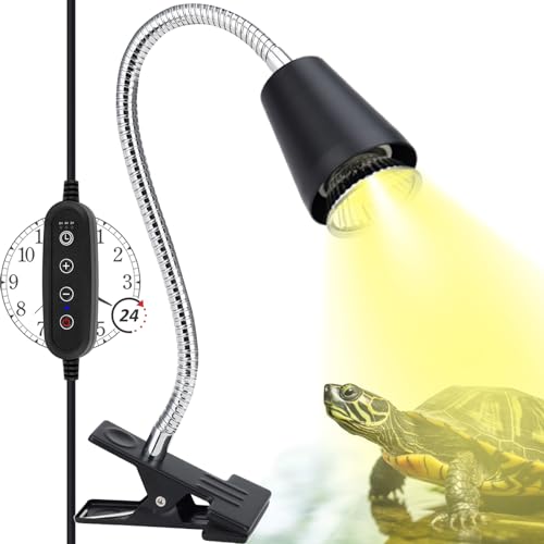 Find The Best Light For Hermit Crabs Reviews & Comparison Katynel