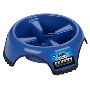 JW Pet Skid Stop Slow Feed Bowl Jumbo, (63242)