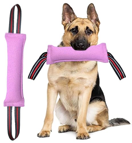 Clysoru p^OgC j 2̋͂ȐԂohnht g[jO q^ C^NeBugC jɍœK Ȃ[vgC (sN)