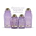 OGX Hydrate & Color Reviving + Lavender Luminescent Platinum Shampoo, 13 Ounce Bottle