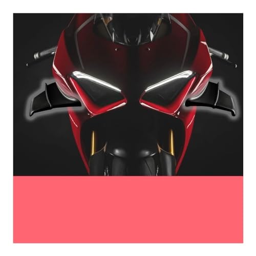 Protection d'aile latérale Panigale pour sorties sur route