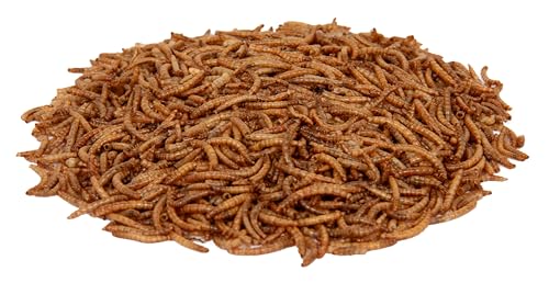 Futterhof getrocknete Mehlwürmer 10 L Eimer (= 1,65 kg), Premium Qualität