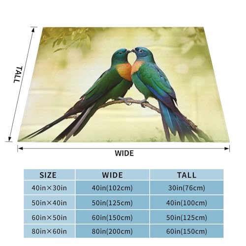Couverture en micro polaire ultra douce et durable de qualité supérieure - 3