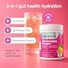 Electrolitos Multivitamínicos KEY NUTRIENTS, Limonada de Maracuyá, 10 Unidades | 3g de Fibra Prebiótica con Postbiótico Akkermansia, Mezcla para Bebida de Salud Intestinal e Hidratación Sin Azúcar, Vegano, Sin Gluten, Hecho en EE. UU. Polvo 10 Porciones 4