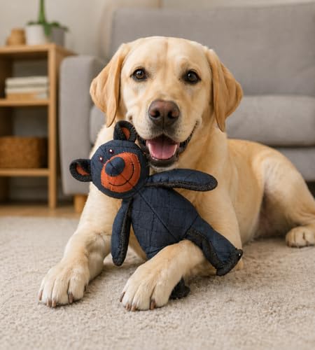 Eco Friendly Squeeky Cute Extreme Tough Bear Dog and Cat Toy
