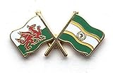 t1100 galaxia Anstecknadel, Motiv: Wales und Afrikanische Union, Emaille, mit doppelter Flagge