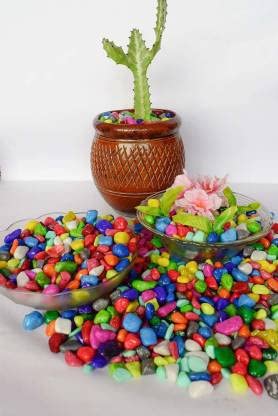 LPINE Decorative Multicolor Pebbles/Stone/Patthar for Fish Aquarium, Garden, Vase, Plant, Home Decoration Painted Angular Sandstone Stone (Multicolor 450 g) (B09MBCXT2V) Amazon Price History, Amazon Price Tracker