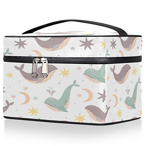 σ|[` fB[X CN|[` ϕi{bNX RX|[` RX[{bNX RX ϕi [ 傫 ^   