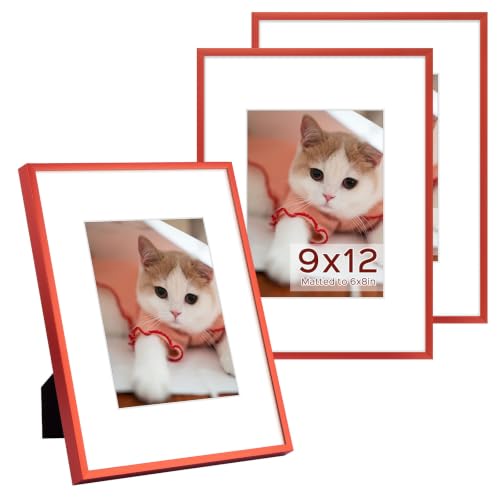 Golden State Art 3 Pack 9x12 Red Aluminum Frames, Real Glass Fronts