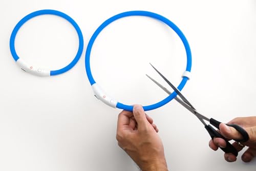 PRECORN 2 Stück LED Silikon Hundehalsband Leuchtend | Rot und Blau | Sicherheits-Halsband Hund | Hunde Leuchthalsband Set aufladbar USB-C | Individuell kürzbar