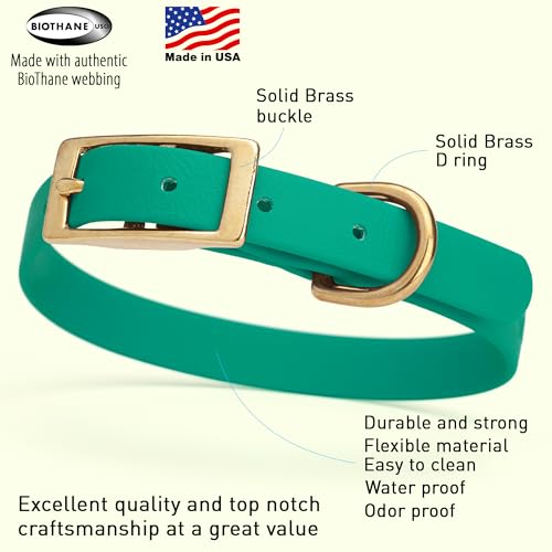 Image of Viper Biothane Heavy Duty Waterproof Dog Collar Strong Coated Nylon Webbing w /Solid Brass Hardware Odor-Proof Easy to Clean High Performance Fits Small Medium or Large Dogs, Teal