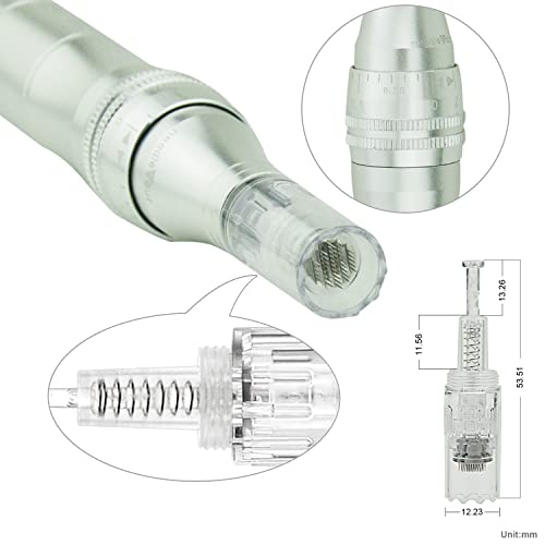 TBPHP-M1-Electric-Derma-Beauty-Pen-Professional-at-Home-Kit-with-12Pcs-Replacement-Cartridges-Silver