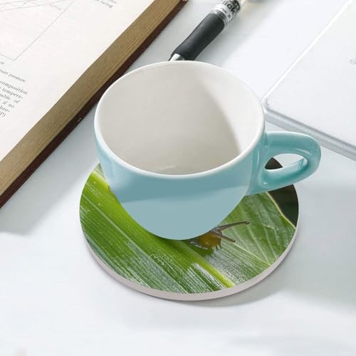 Dessous de verre pour table basse en céramique vert résistant au chaud - 6