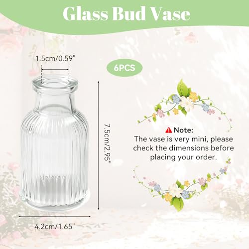 Jarrones de cristal mini pack de 6 piezas de 7,5cm para flores y decoración 3