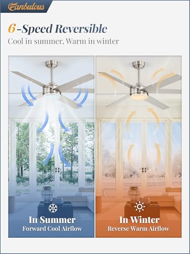 Image of Fanbulous 60 inch Outdoor Ceiling Fans with Lights, Dimmable 3CCT, Nickel